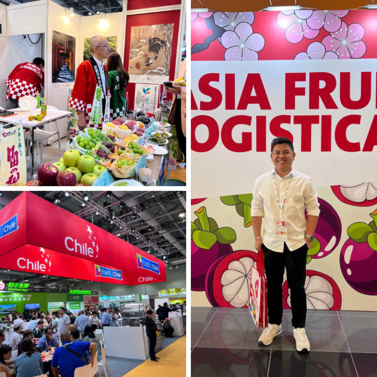 Asia Fruit Logistica & Team Building - Photo 1